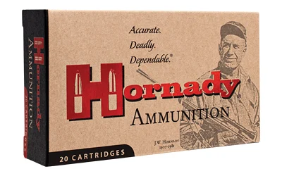 Hornady 300BLK 110GR CX 20/200