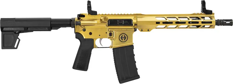 HIPOINT PISTOL HP-15 300 AAC - 10.5" 30RD BLADE BRACE GOLD