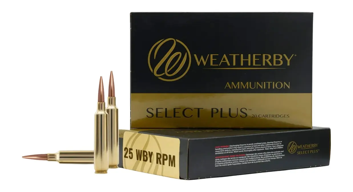 WTHBY B25RPM117LRX 25WBY RPM 117G BARNES LRX 20/10