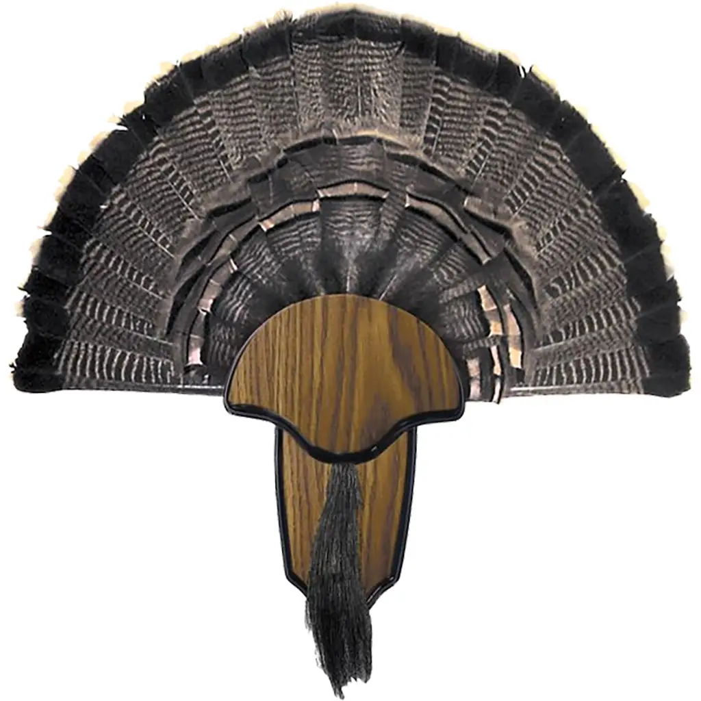 Hunters Specialties Turkey Mount Kit Tail Beard